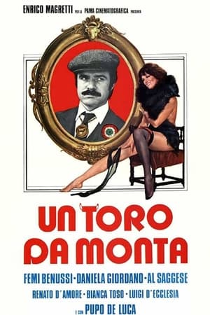 Un toro da monta film complet