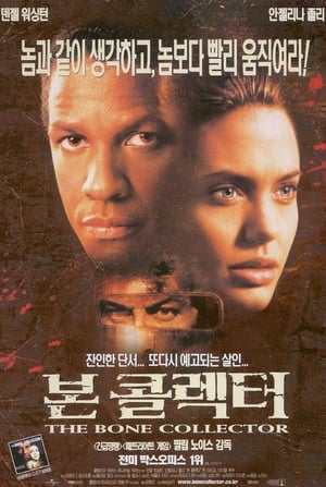 Poster 본 콜렉터 1999