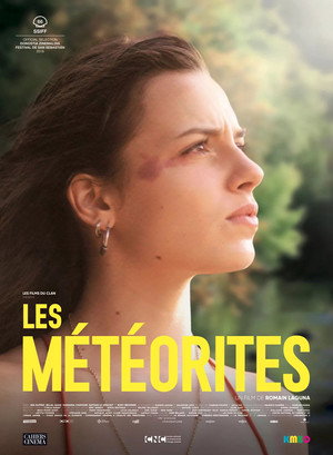 Meteorites 13