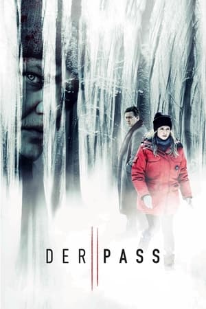 Der Pass: Temporada 2