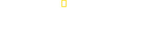 Los secretos de las abejas — Logos 2