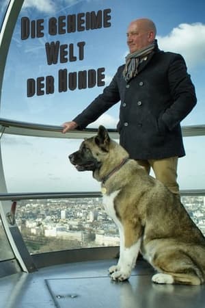 Image Die geheime Welt der Hunde