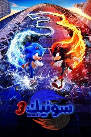 poster Sonic the Hedgehog 3