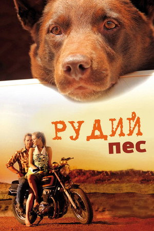 Image Рудий пес