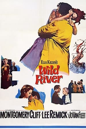 Wild River (1960)