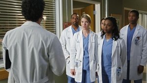 Grey’s Anatomy 10 x Episodio 20