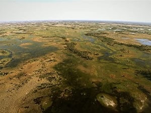 Wildest Africa Okavango: Water in the Desert