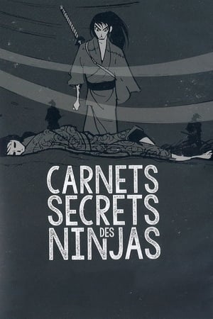 Image Carnets secrets des ninjas