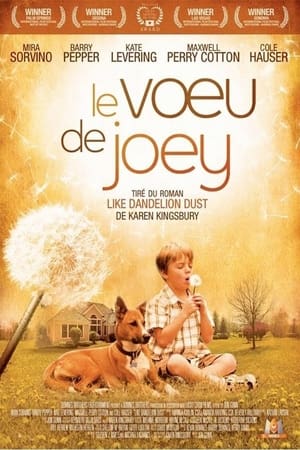 Poster Le voeu de Joey 2009