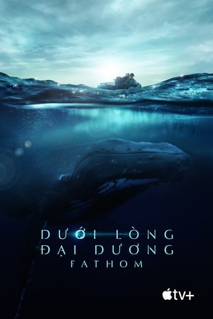 Dưới Lòng Đại Dương