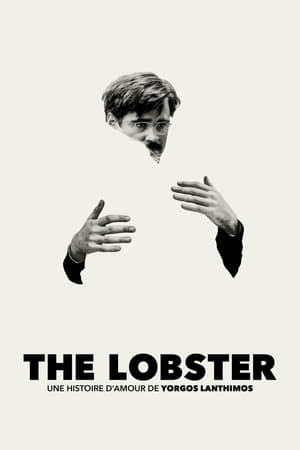 Image The Lobster