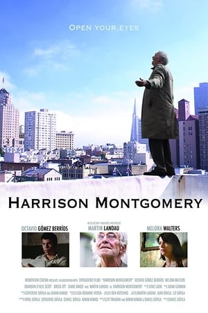 Poster Harrison Montgomery (2008)