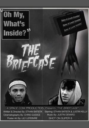 Image THE BRIEFCASE