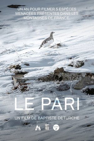 Le pari film complet