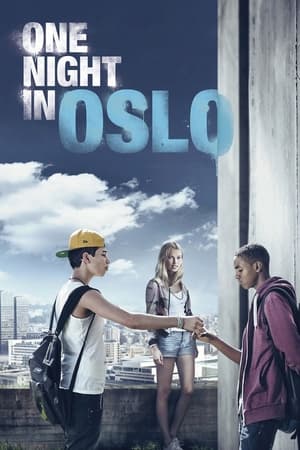 Poster One Night in Oslo 2014
