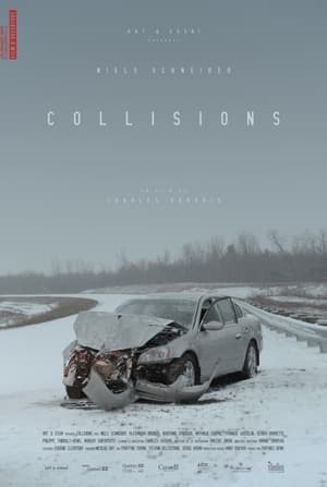 Poster Collisions 2014