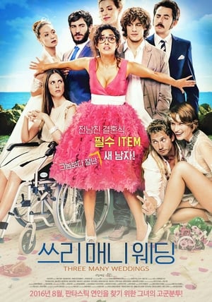 Poster 쓰리매니웨딩 2013