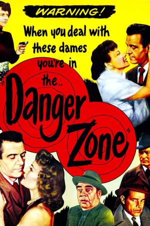 Danger Zone poster