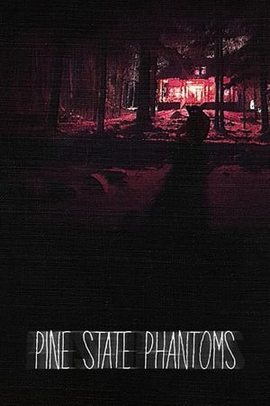 Poster Pine State Phantoms (2020)