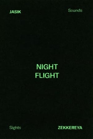 Poster NIGHT FLIGHT 2019