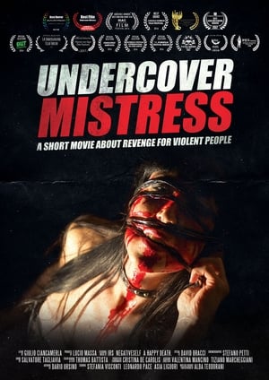 Poster Undercover Mistress (2016)