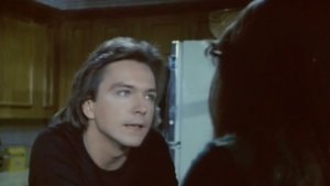 David Cassidy: Man Under Cover Firestorm