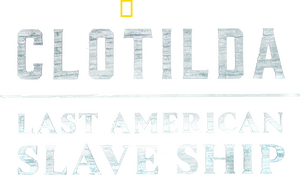 /nynjpm7PhNjlvqbICs66n2j01lo.png