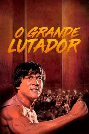 Poster O Lutador de Rua 1980