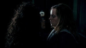 Harry Potter and the Deathly Hallows: Part 1 movie still 98