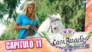 Épisode 11