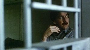 Blind Justice Online En Netflix
