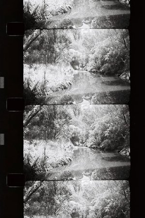 The Silver Curtain (2025)