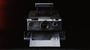 Polaroid مترجم مباشر اونلاين