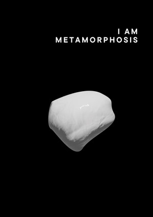 I am metamorphosis