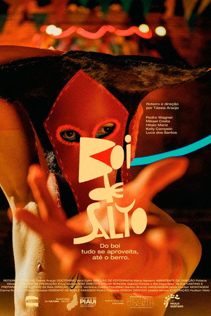 Boi de Salto 4