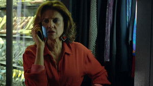 Hidden Truths: 1×29 {year} Online En Netflix