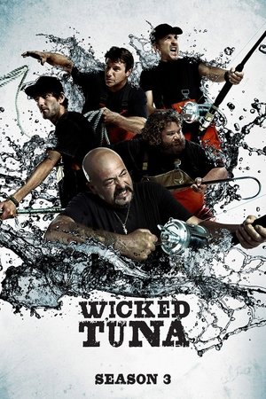 Wicked Tuna: Seizoen 3