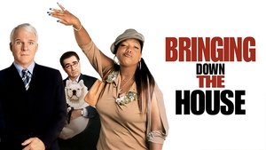 Bringing Down the House (2003)