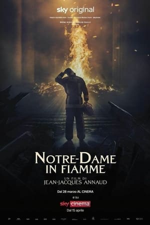 Poster di Notre-Dame in fiamme