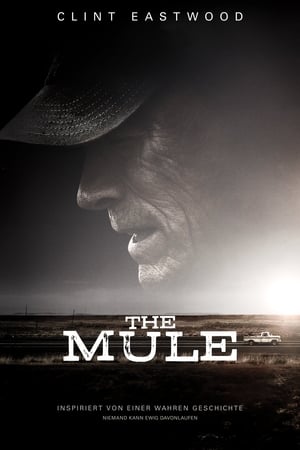 Image The Mule