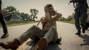 Images posters