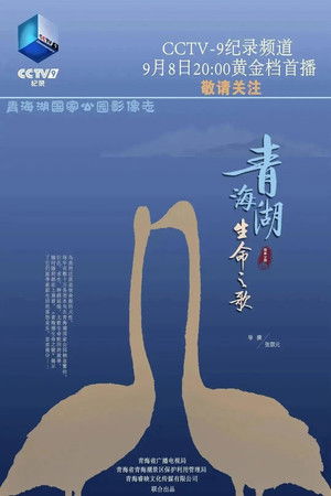 青海湖生命之歌