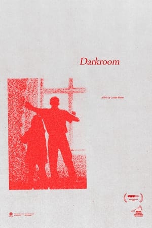 Poster Darkroom 2021