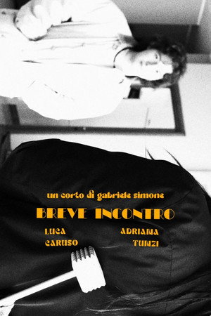 Breve incontro