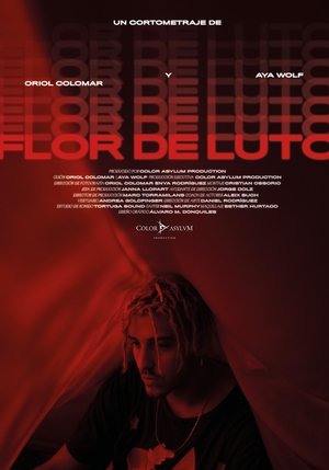 Flor de Luto film complet