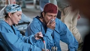 Grey’s Anatomy 13 x Episodio 24