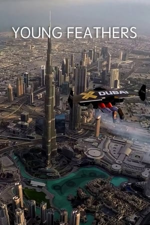 Poster Jetman Dubai : Young Feathers 2015