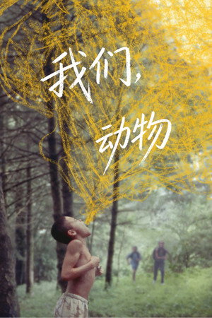 我们，动物