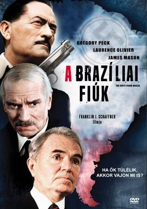 Image A brazíliai fiúk
