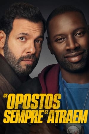 Os Opostos Sempre Se Atraem - Poster